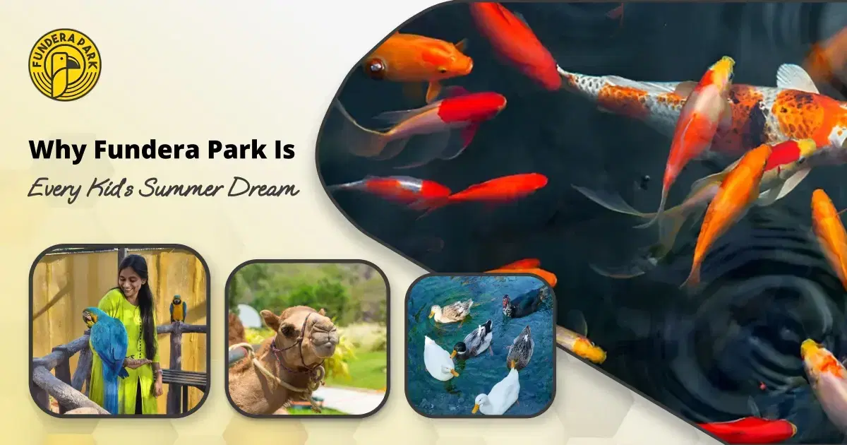 Why Fundera Park Is Every Kid's Summer Dream