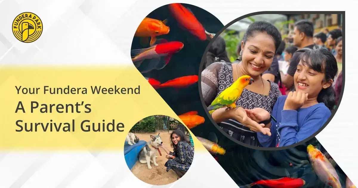 Your Fundera Weekend: A Parent's Survival Guide