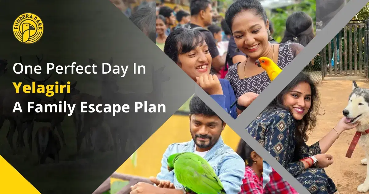 One Perfect Day in Yelagiri: A Family Escape Plan