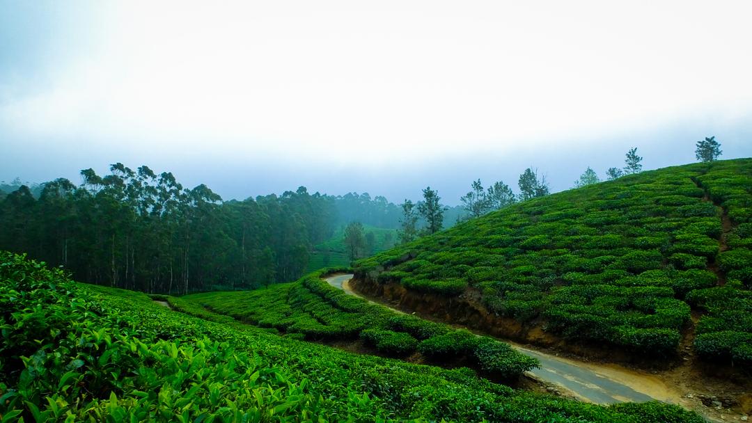 Yelagiri Hills - Image 1