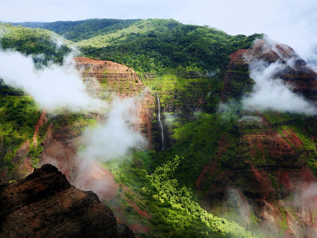 Yelagiri Hills - Image 3