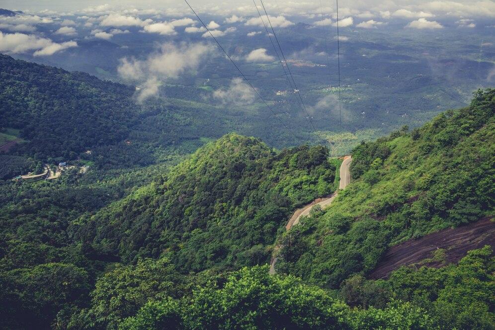 Yelagiri Hills - Image 4