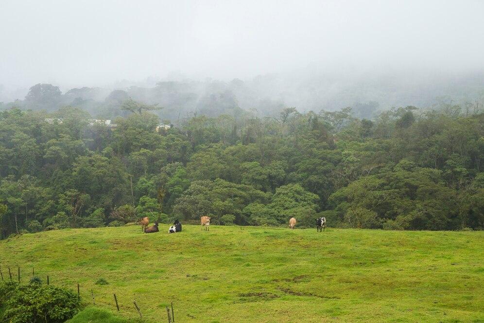Yelagiri Hills - Image 5